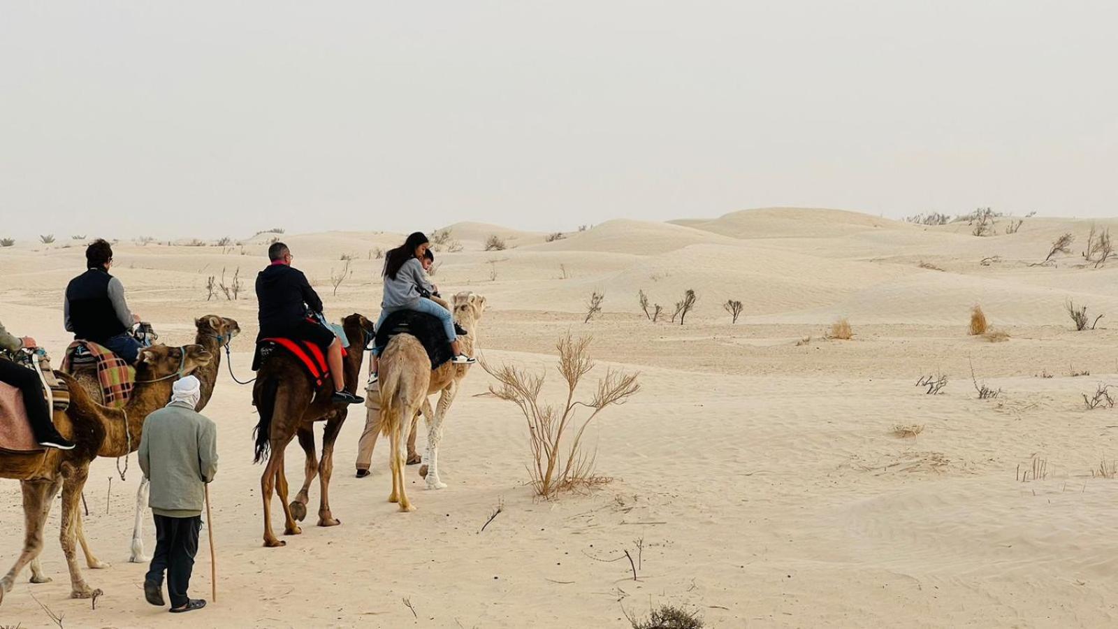 Luxury Camp Dunes Insolites Sabria Экстерьер фото